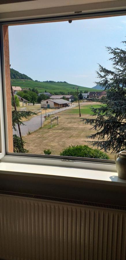 Gite Dans Vignoble Alsacien Westhalten المظهر الخارجي الصورة