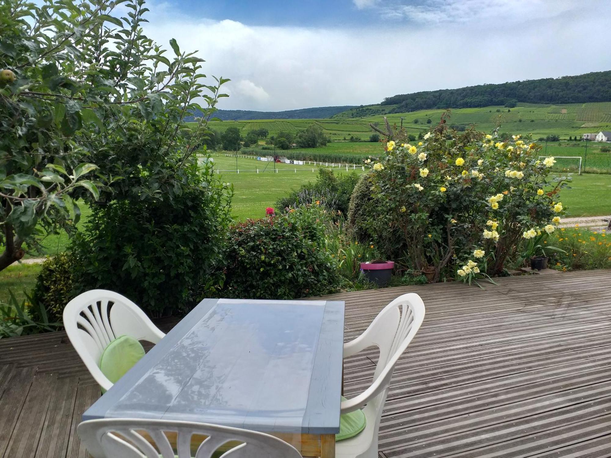 Gite Dans Vignoble Alsacien Westhalten المظهر الخارجي الصورة